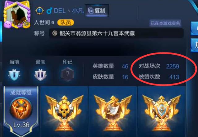人均王者_王者荣耀图片(2)