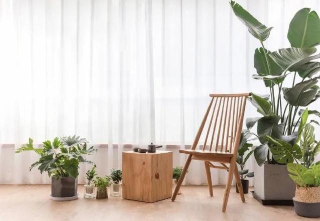 原木风搭配绿植推荐 ef8b70ff720445dc85c2d3636586fad9.jpeg