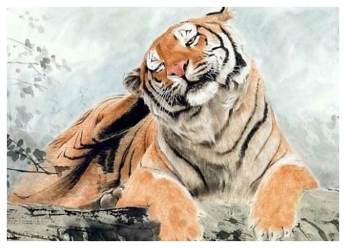 福过祸生是什么生肖打一动物精选解释解析