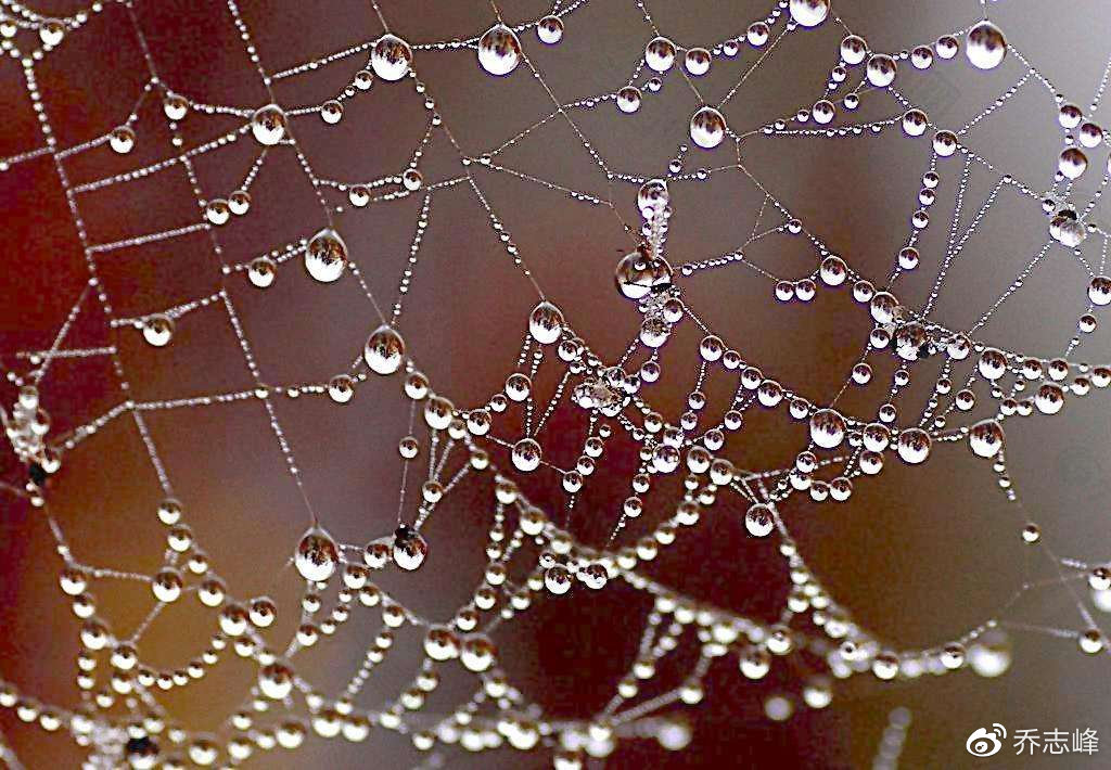 初中女生坠亡，这回摄像头没坏，只是监控视频