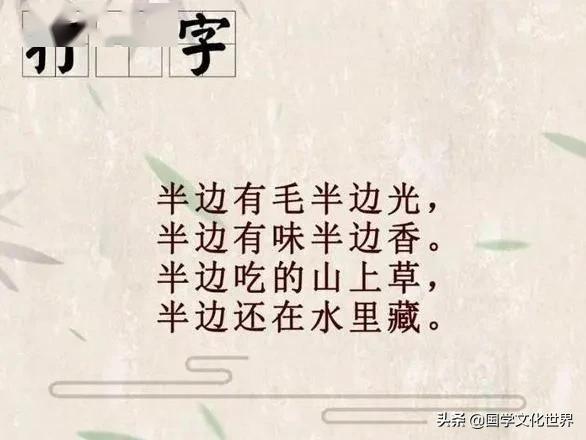 图片猜成语包包代表什么字_看图猜成语(2)