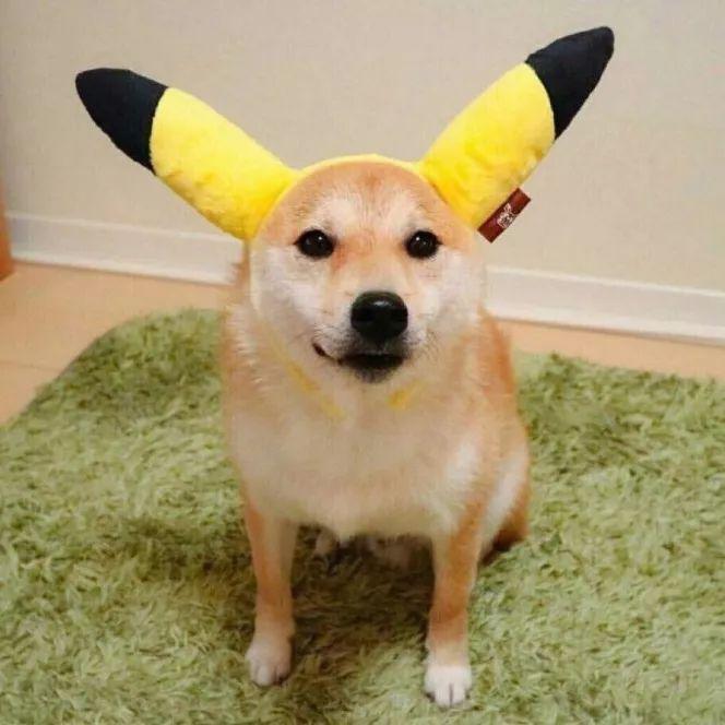 英子头像 火爆的100张头像,用了就是朋友圈最靓的仔 最美的妞