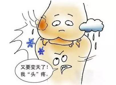 吃什么腿脚有劲又养生 1f748943b1a145f98ff9879110b0af4b.jpeg