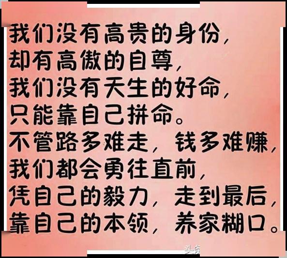 何谓流到人口_人口普查(2)