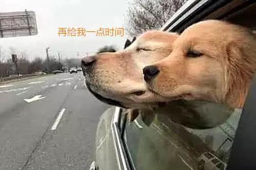 34eecf12d55249d29fc3a255e0d88286.jpeg