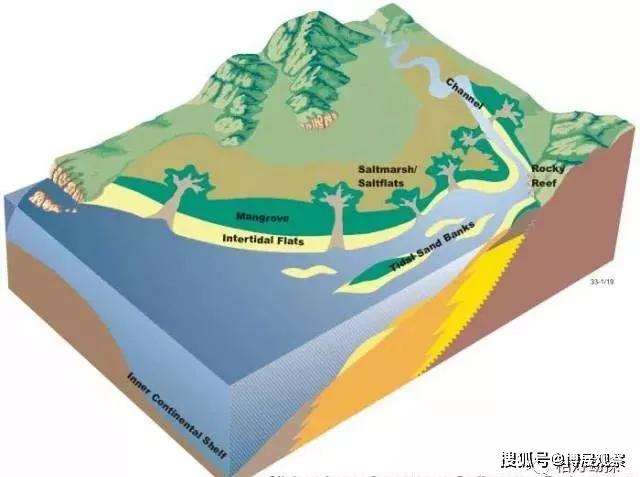 展示42潮沟沉积环境示意展示在沙泥质潮滩上由于潮流作用形成的冲沟