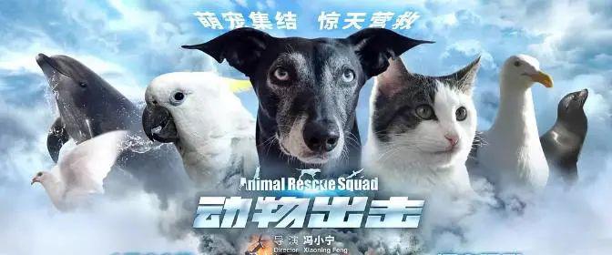 《动物出击》正在电影院线热播:全世界第一部由动物主演的电影,你一定