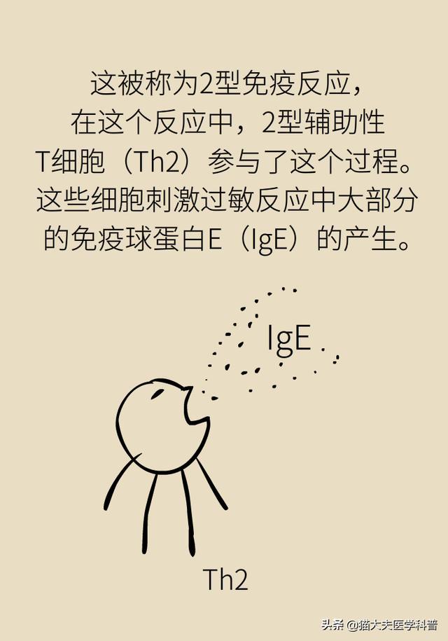3ba6bc853c904851bf24961ec22a66cb.jpeg