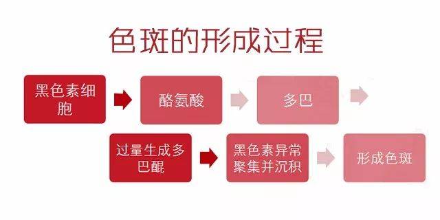 下面是长斑的过程没长斑更要看了,春季护理不好,春天过完就要长斑了