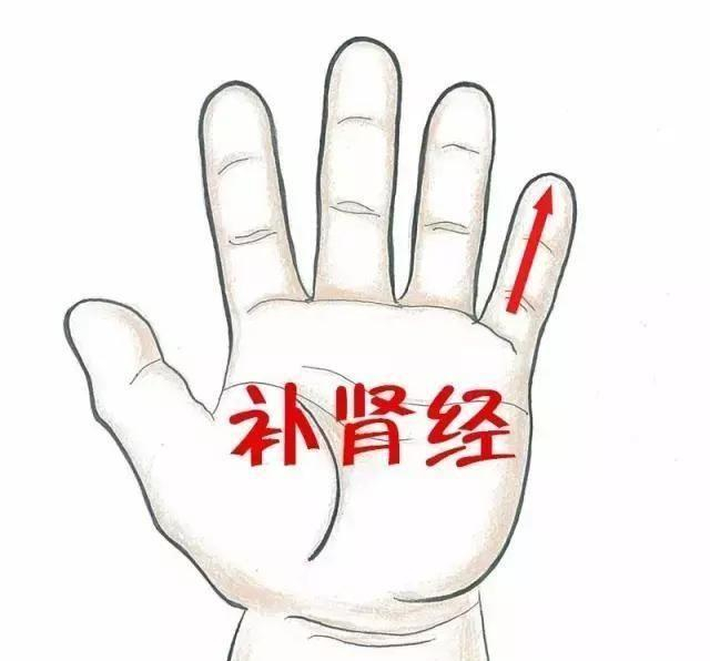 术者@捏积派——宝宝频繁吐舌头是可爱卖萌？其实可能是心脾有热了