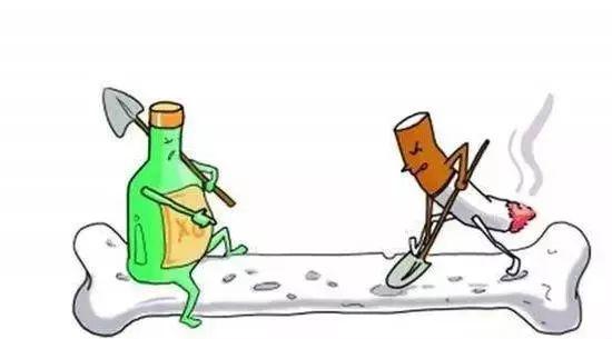 吃什么能增加骨密度预防骨质疏松 4d41670eb73142628aa484cd8ee62d14.jpeg