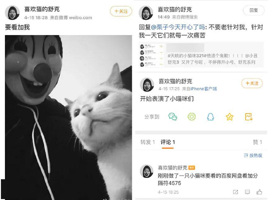 太可怕了网传虐猫狂魔范某人扬言要杀1000只猫报复社会