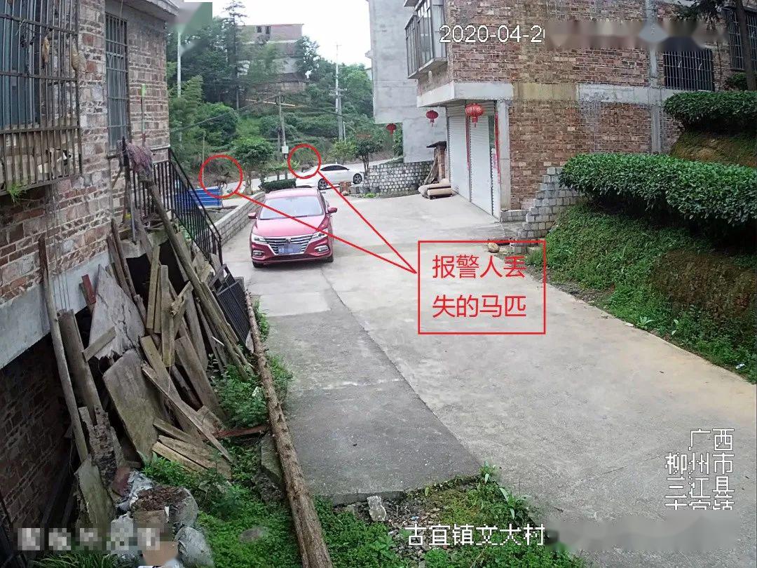 怎么快速找到村民 58b447ca09a7487ea36f02b6d31a0f58.jpeg