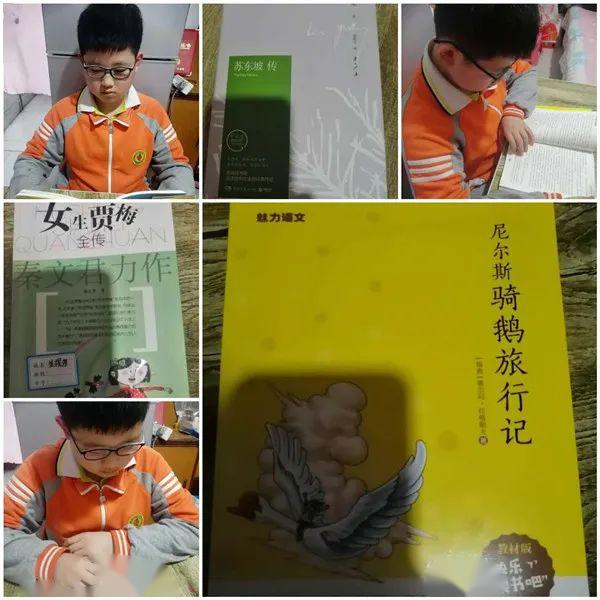 什么时候看书是最佳时期 5e0aabd3383141b3bea96a7ef749fe93.jpeg