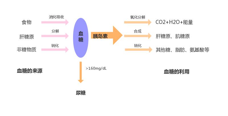 5fe8507c460c44e6971f82f3f1809243.jpeg