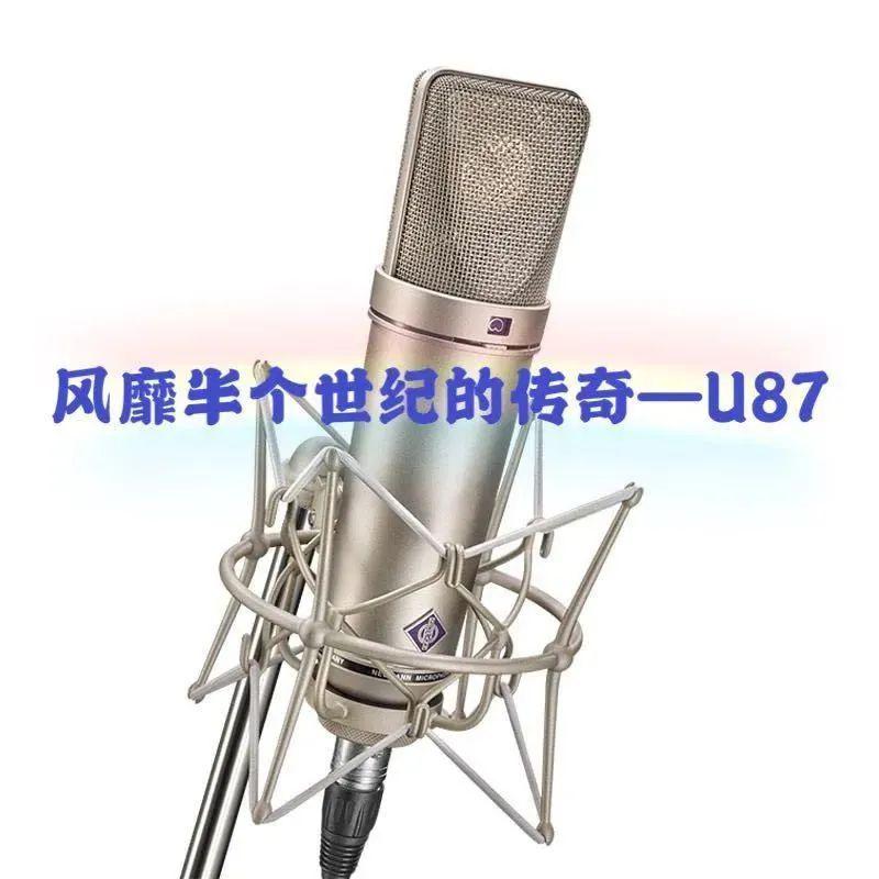 U87麦克风，专业音质的选择，U87麦克风，专业音质的不二之选