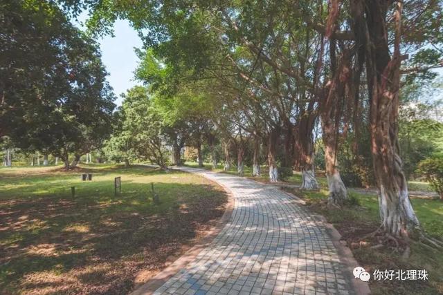 『大学』真任性！插本这所大学只招1个专业！报考人数超级多！