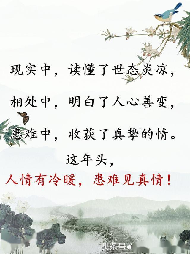 患难见真情简谱_患难见真情图片
