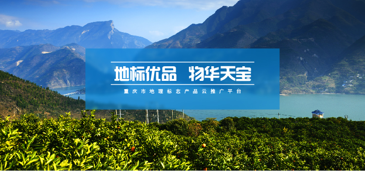 2020年重庆农村经济总量_重庆轻轨2020年规划图(3)