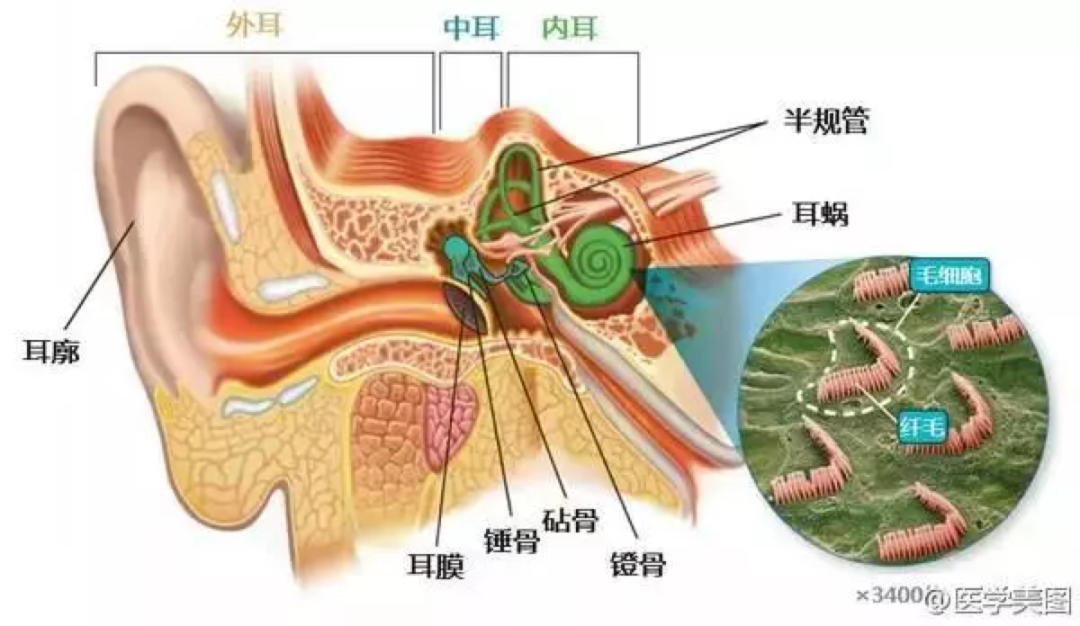 气导的原理_扩展形收纸板与曲形收纸板处空气导纸系统的工作原理   中的扩展形收纸板   与曲(3)