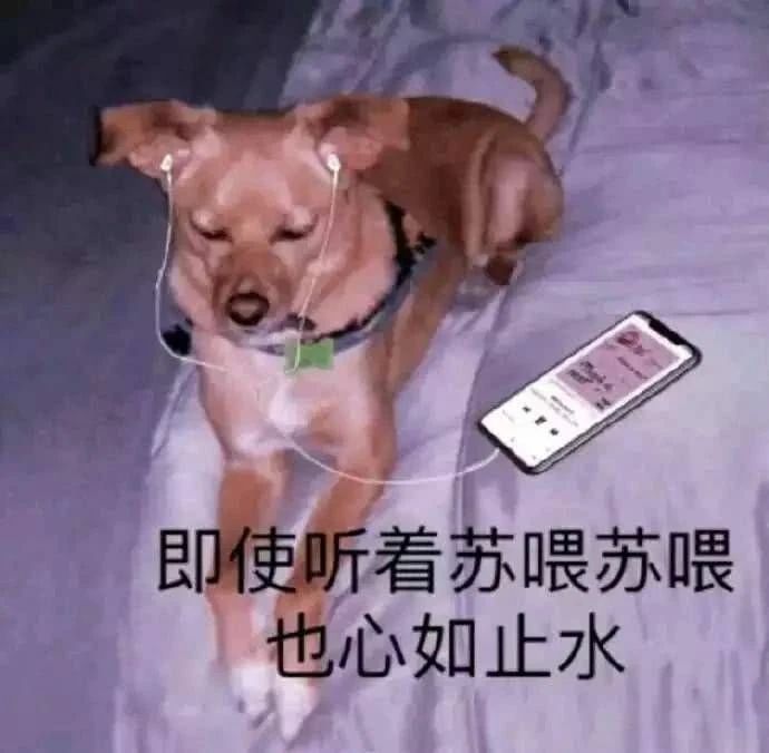 搞笑表情包图片:试图让自己冷静
