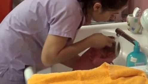 「洗菜」一顿操作猛如虎，爸爸吐槽：比洗菜还随意护士给新生儿洗澡