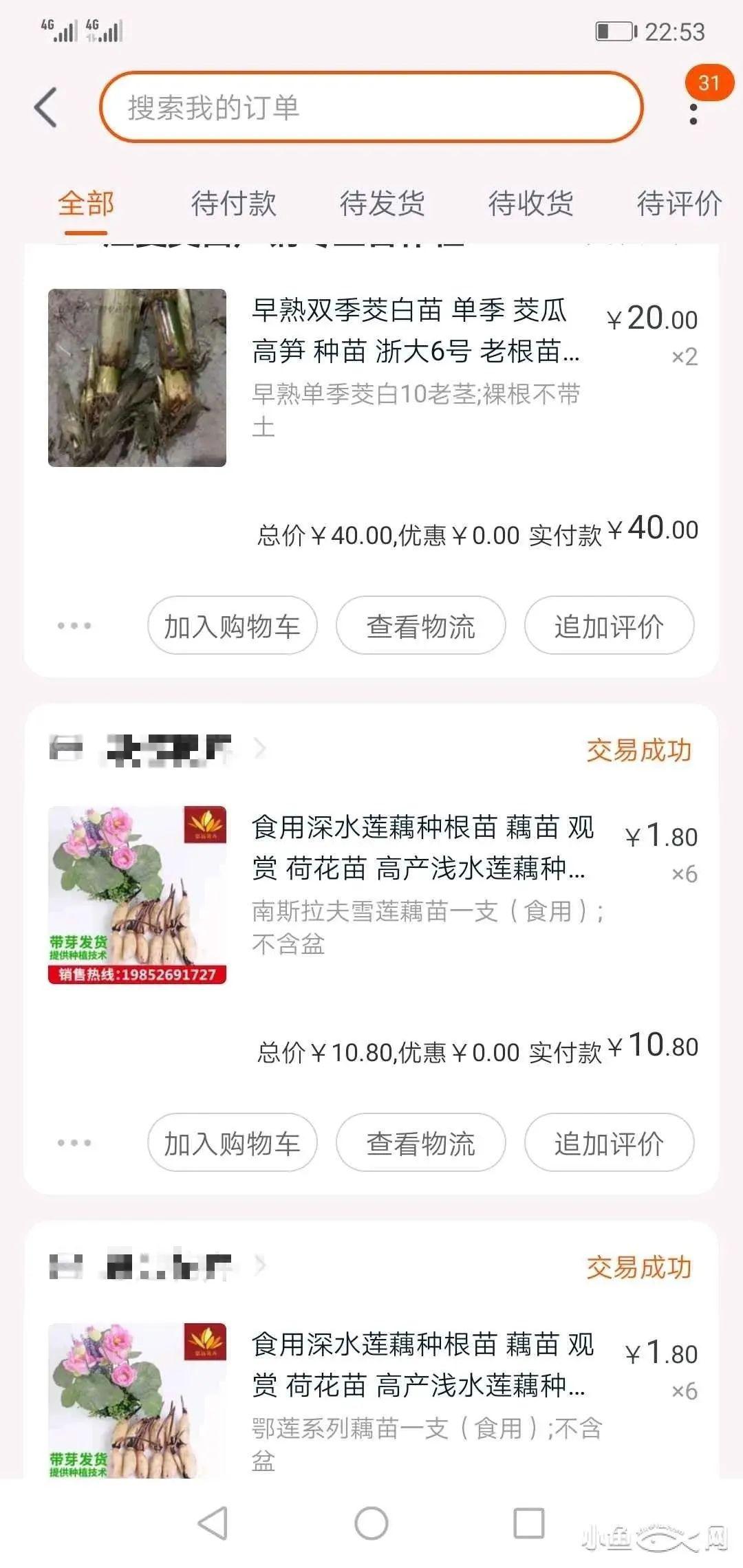 外贸人口失业_广东外语外贸大学(2)