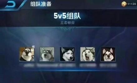 关于王者荣耀的那些搞笑头像图,晒晒你的五黑头像