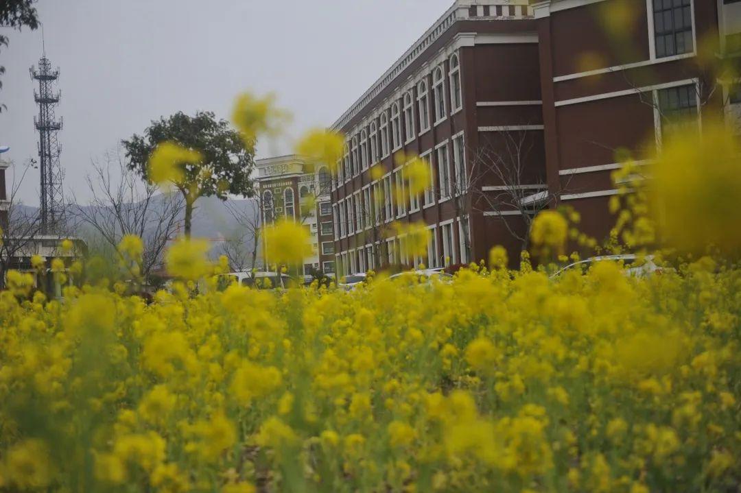 "江苏财经人才的摇篮"—江苏财会职业学院