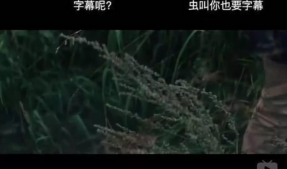 a036817e819244e0b471557979cebac0.jpeg