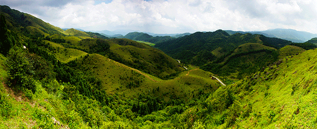 壁纸 成片种植 风景 植物 种植基地 桌面 640_262 gif 动态图 动图
