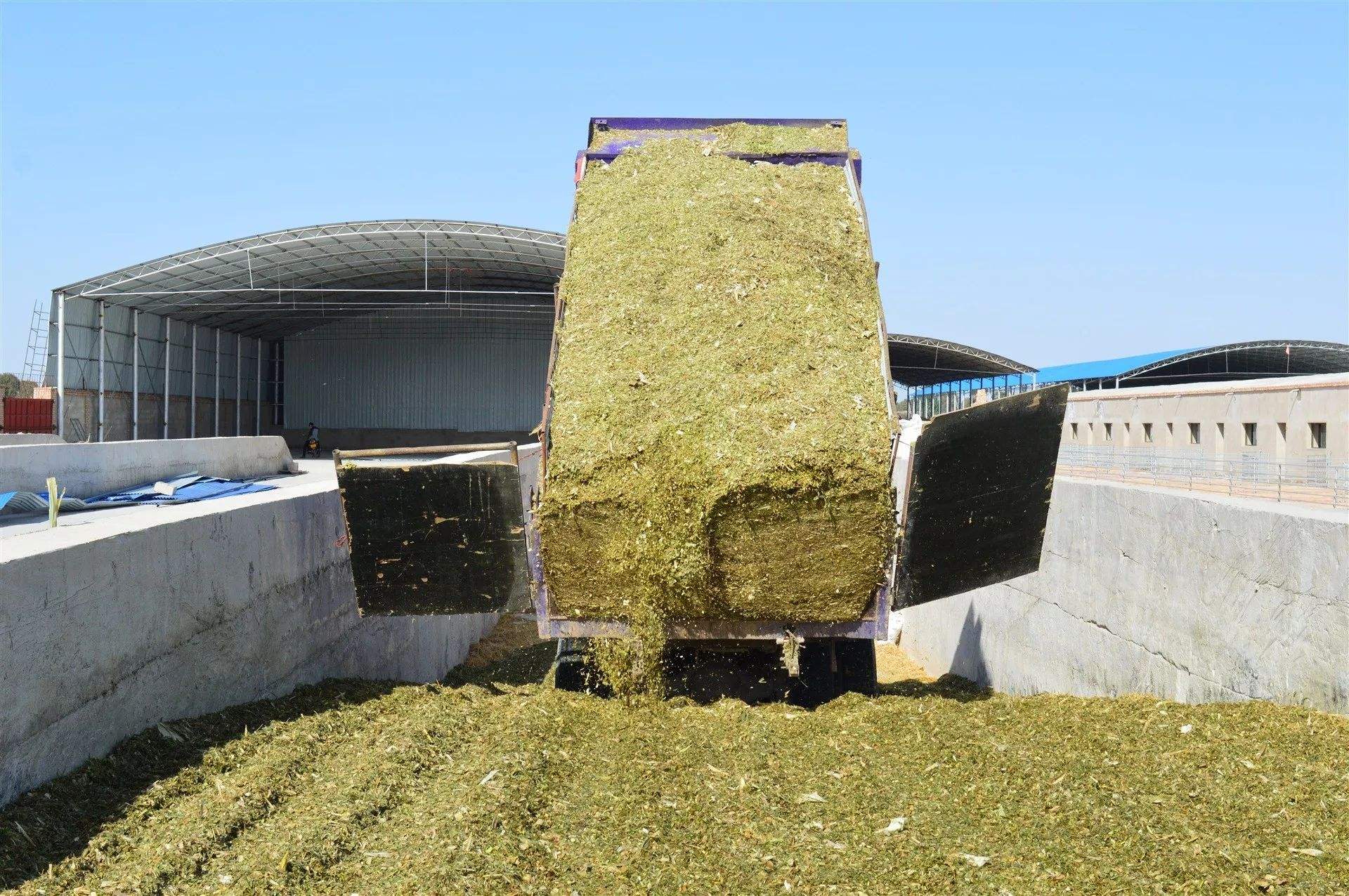料塔15吨自动化料线养殖饲料料塔20吨镀锌板储存料仓料罐猪场设备-阿里巴巴
