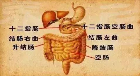 a7b5fef88d6d4223a9197195a342aa1f.jpeg