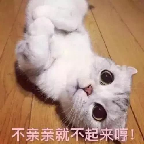 表情包 凶人表情包