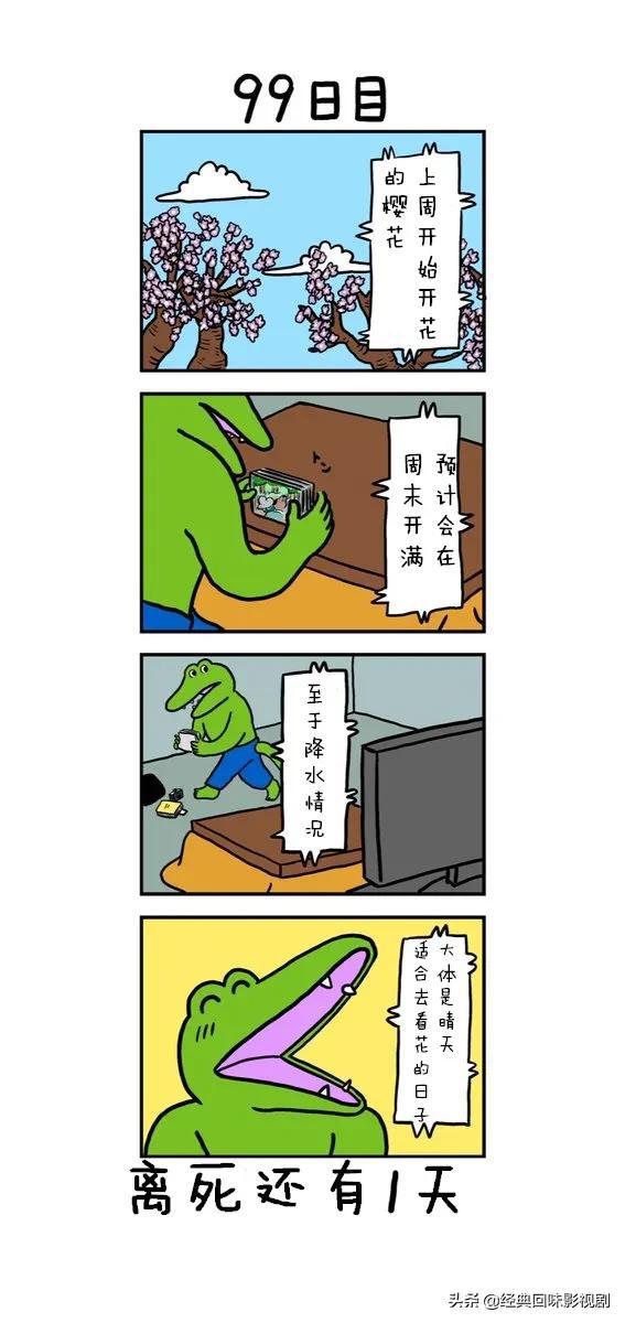 漫画:一只鳄鱼的最后100天