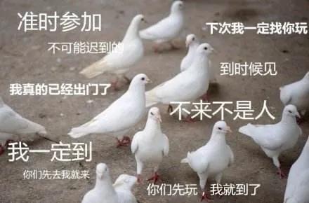 下次一定我想静静人类经典骗局知多少