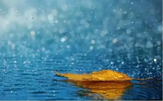 【旅游摄影】春雨绵绵,如何才能拍出雨中美景?