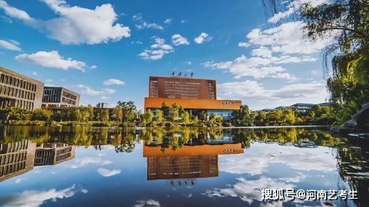 河南美术统考2020成_河南:2020年高考艺术体育统考成绩查询官方入口