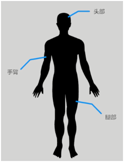 每个人都应该了解的动脉搏动点
