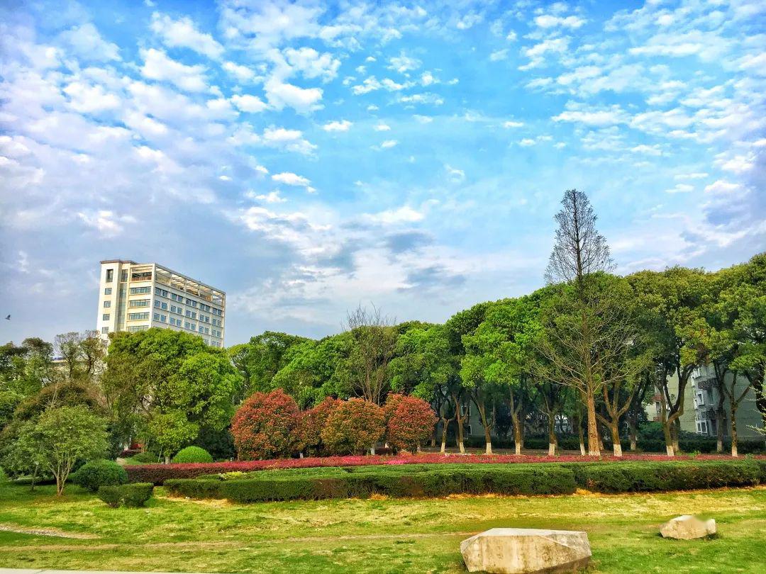 2020宁波大学研究生_宁波大学2020年美术类专业本科招生简章(2)