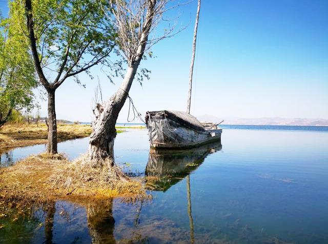 洱海月湿地公园小船依旧在风景都很美