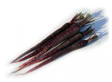 紫色圆萝卜叫啥名 e6e7b5d671ed4e628063fcf0ede9741f.jpeg