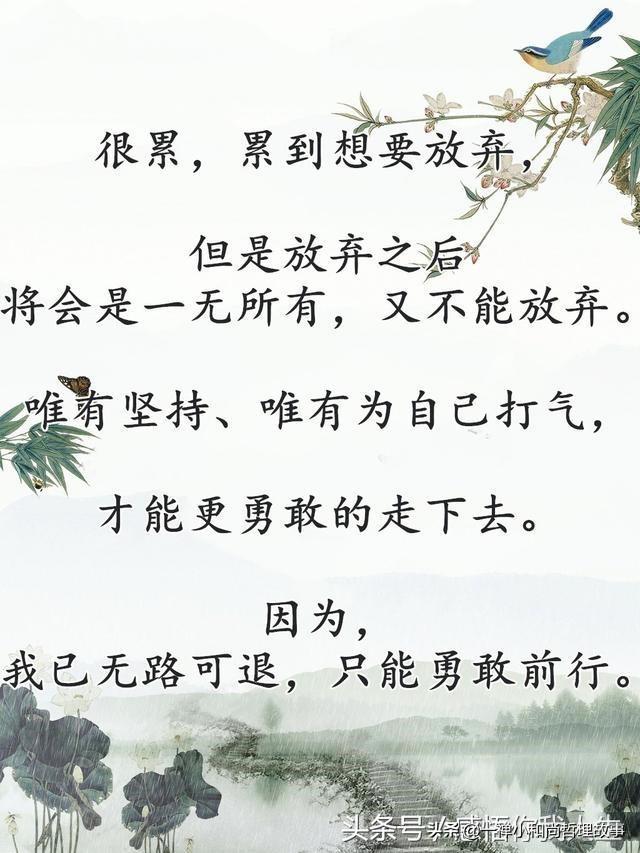 橙乡吉祥曲谱_信丰橙乡科技培训中心(3)