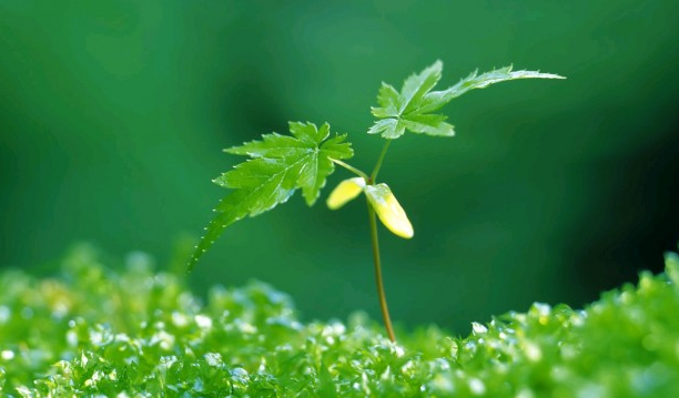 4月25-28號，財氣進門，3大生肖貴人支持，輕松發財 星座 第2張