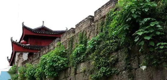 海菜花】5月3/5日带你去这条会开花仙气满满的小河 思美瀑布 永宁州城