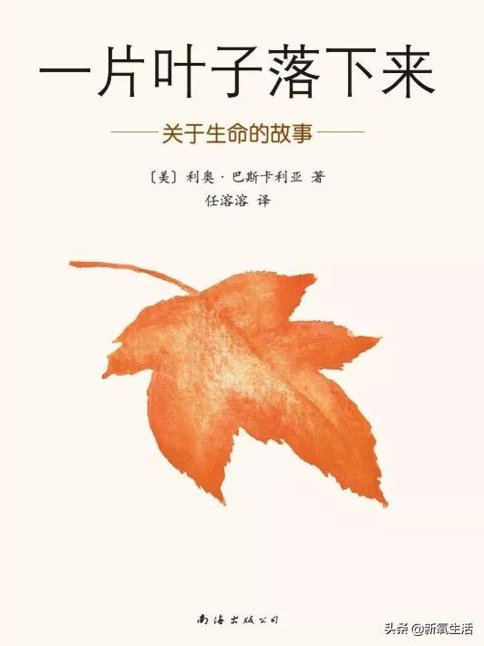 05《一片叶子落下来》