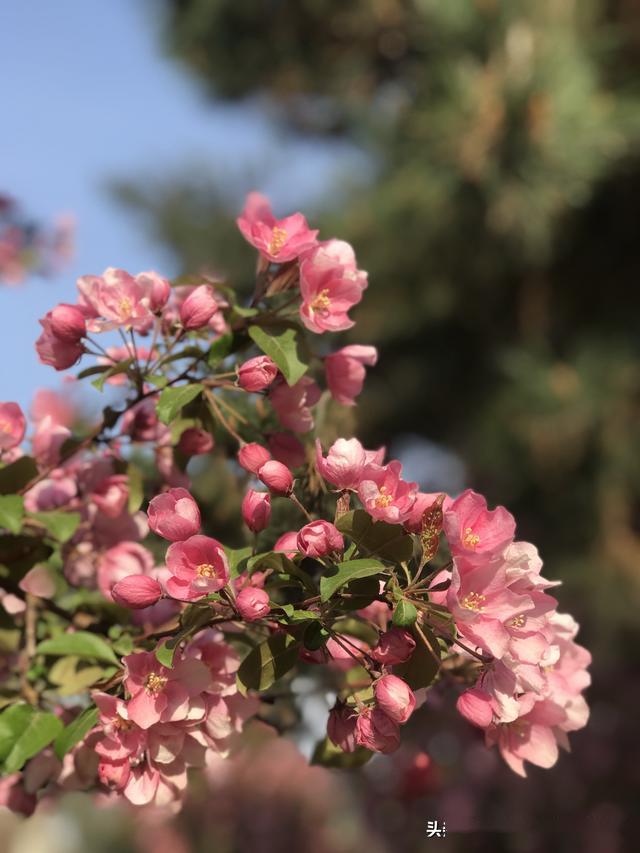 f547233f68474b2ebc1c4eb90d4894c7.jpeg