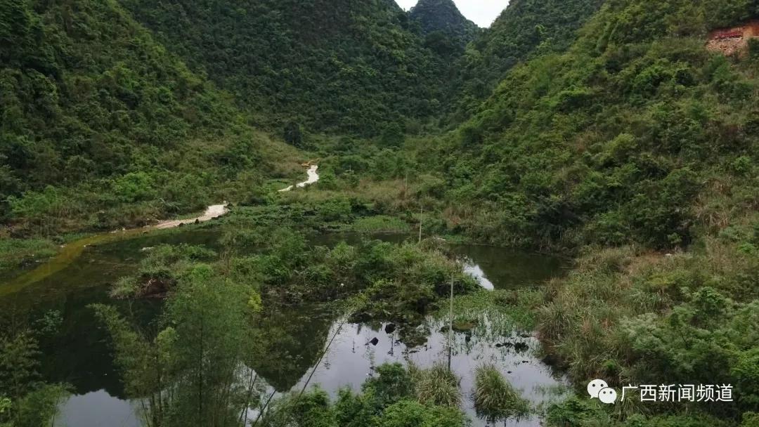 崇左市天等县福新镇龙北屯村民 黄云康:当时是早上8点钟左右,我们从