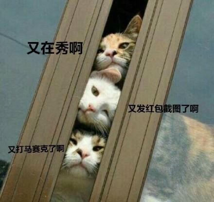 fa5343d8b0e44db9b670f68652b4b562.jpeg