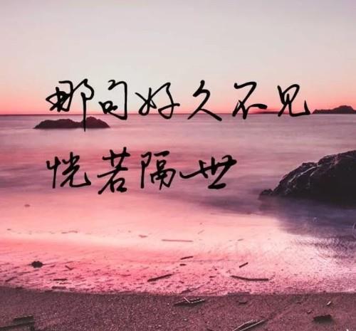00a1af9081584fe0a05d7d932dba0eca.jpeg